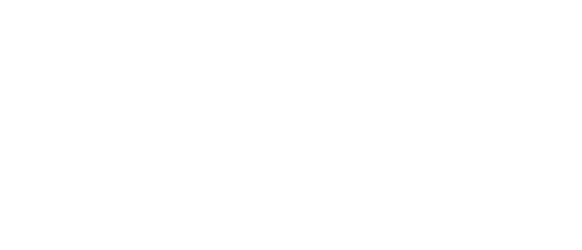 Straus Informática